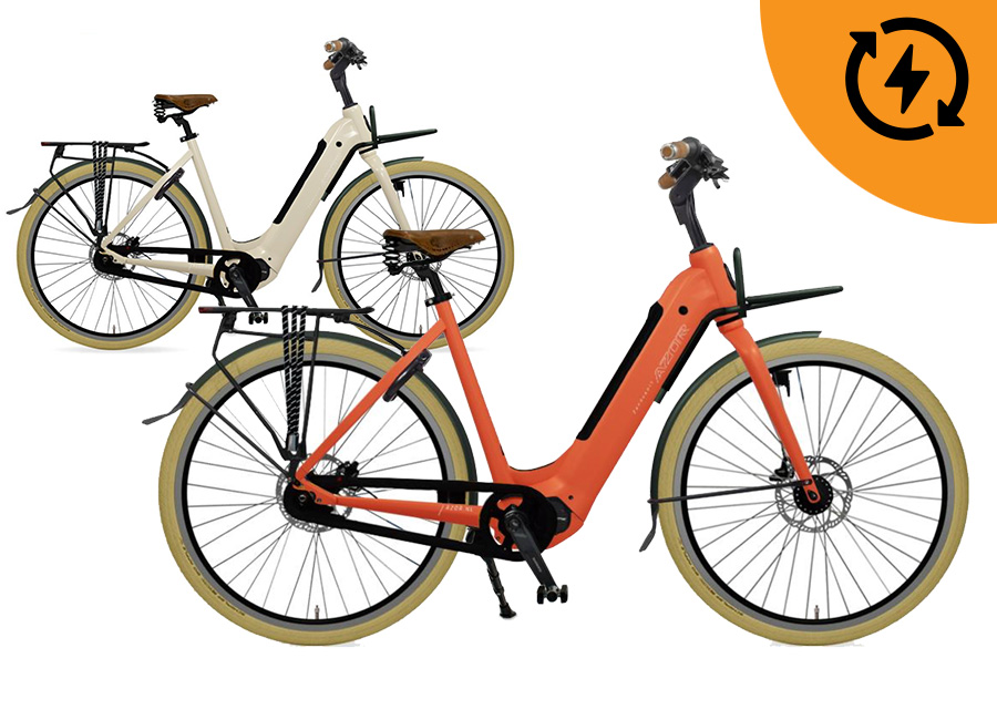 Traditional Dutch Ebikes